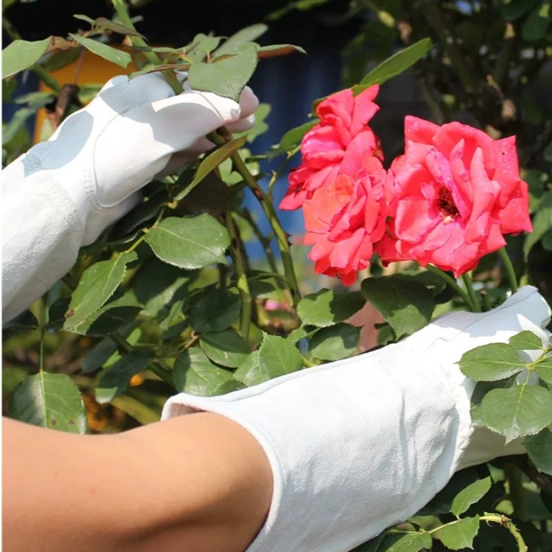정원용 장갑 한 쌍, 가시 방지 방수 장갑, 장미 및  - Gardening Glove Waterproof 리뷰 및 가격